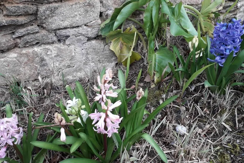 Ti Dour - Gite De Charme A La Campagne - Cote De Granit Rose Begard Holiday home